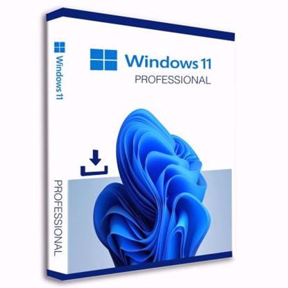 Fotografija izdelka Microsoft Windows 11 PRO DSP slovenski