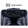 Fotografija izdelka MANTA SPK5033, Karaoke zvočni sistem, prenosni/voziček, vgrajena baterija, Bluetooth 5.0, USB/MP3/SD/RADIO FM, Disco LED lučke, TWS