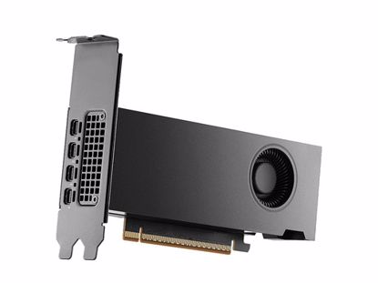 Fotografija izdelka Grafična kartica NVIDIA RTX PRO 2000 Blackwell, 16GB GDDR6 ECC, PCIe 5.0, 4x mDP 2.1a,PNY