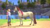 Fotografija izdelka Barbie: Horse Trails (Nintendo Switch)