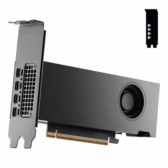 Fotografija izdelka PNY RTX 2000 Blackwell 16GB DDR6 ECC VCNRTXPRO2000-SB profesionalna grafična kartica