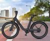 Fotografija izdelka MS ENERGY CITYZEN C102 električno kolo, cestno / mestno, 24 x 3", 250W motor, 36V 9.6Ah 345Wh baterija, do 70km, mehanske disk zavore, vzmetne vilice, LED zaslon, sivo