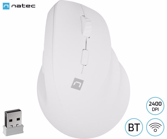 Fotografija izdelka Natec CRAKE 2 vertikalna brezžična miška, 2400DPI, ergonomska, Bluetooth / USB 2.4GHz, 6 gumbov, za desničarje, 1x AA baterija, bela