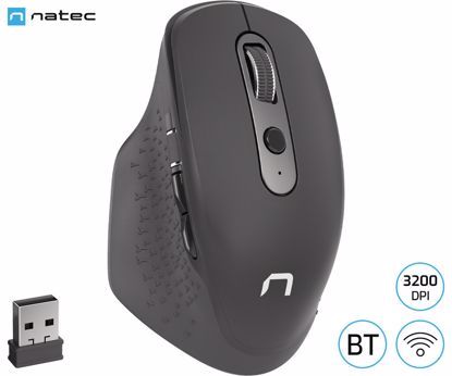 Fotografija izdelka Natec FALCON brezžična miška, 3200DPI, ergonomska, Bluetooth / USB 2.4GHz, 6 gumbov, tiha stikala, polnilna baterija, stranski drsnik, črna