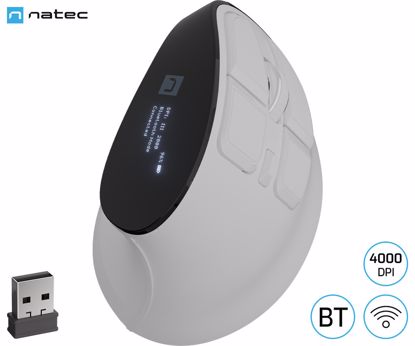 Fotografija izdelka Natec EUPHONIE PRO vertikalna brezžična miška, ergonomska, Bluetooth / USB 2.4GHz, 4000DPI, 9 gumbov, tiha stikala, polnilna baterija, senzor Blue Sense, OLED zaslon, pomnilnik, USB Type-C, bela